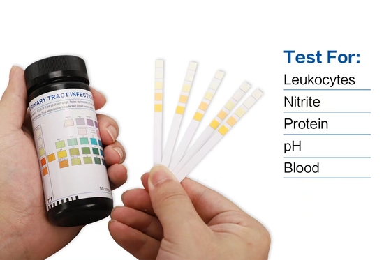 Urinalysis ανδρών γυναικών εξάρτηση δοκιμής Uti λουρίδων δοκιμής στο σπίτι