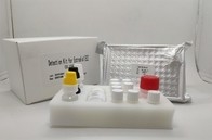 Εξάρτηση Igg Elisa διαγνωστικής δοκιμής πλάσματος ορών για το αντιγόνο πυρήνων ηπατίτιδας Β