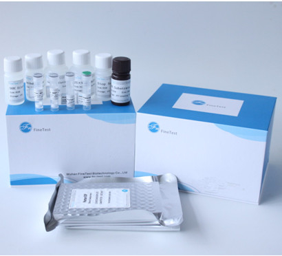 Angiotensin Ι μετατρέποντας εξάρτηση INVBIO δοκιμής ενζυμικού ACE Elisa